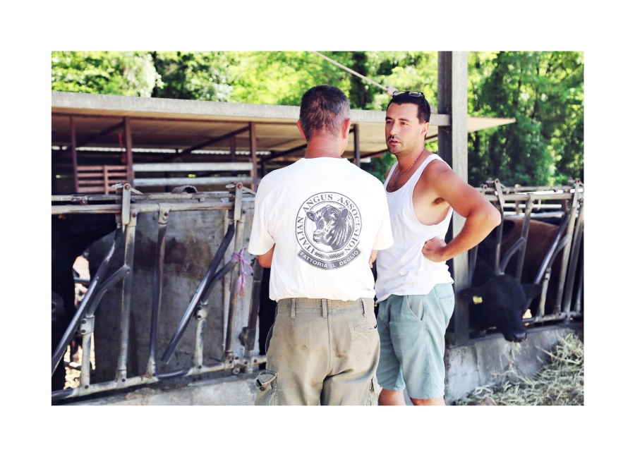 Presso Fattoria del Deglio per acquistare i migliori capi Angus Bio